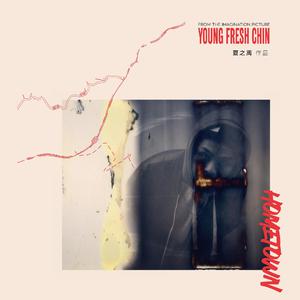 操纳西妲的粉逼
